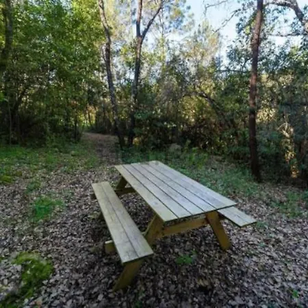 Quinta Boa Vida Villa *