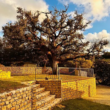 Villa Quinta Boa Vida